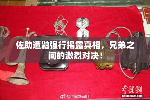 佐助遭鼬强行揭露真相，兄弟之间的激烈对决！