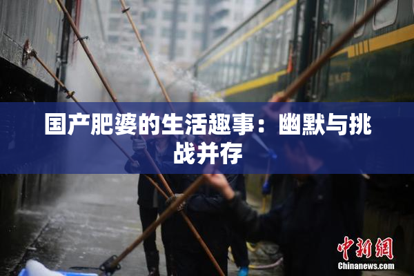 国产肥婆的生活趣事：幽默与挑战并存