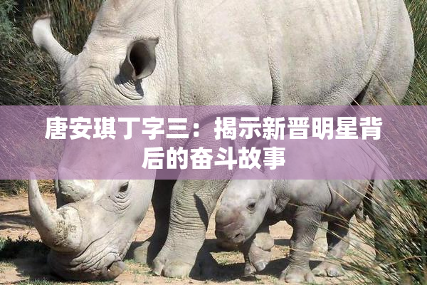 唐安琪丁字三：揭示新晋明星背后的奋斗故事
