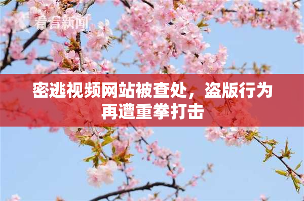 密逃视频网站被查处，盗版行为再遭重拳打击
