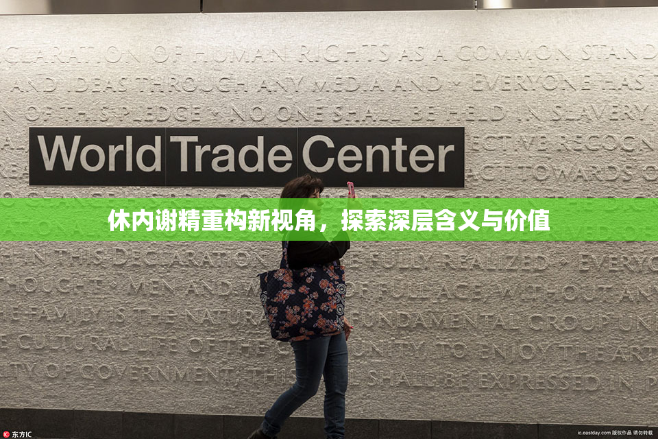 休内谢精重构新视角，探索深层含义与价值