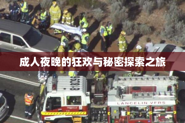 成人夜晚的狂欢与秘密探索之旅