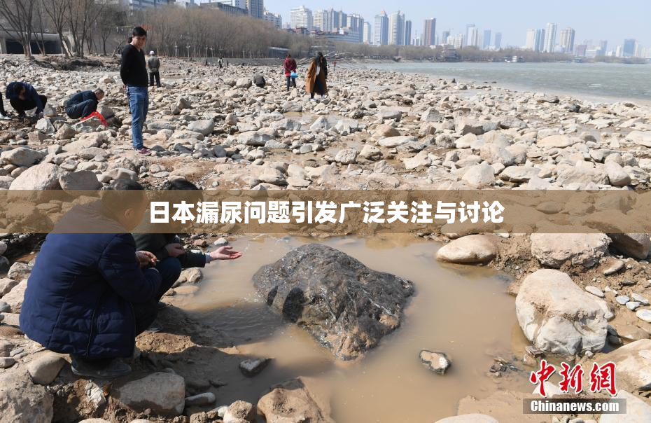 日本漏尿问题引发广泛关注与讨论