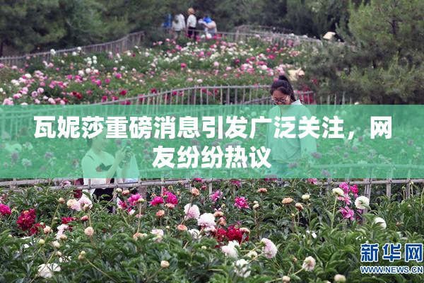 瓦妮莎重磅消息引发广泛关注，网友纷纷热议