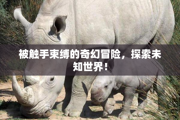 被触手束缚的奇幻冒险，探索未知世界！