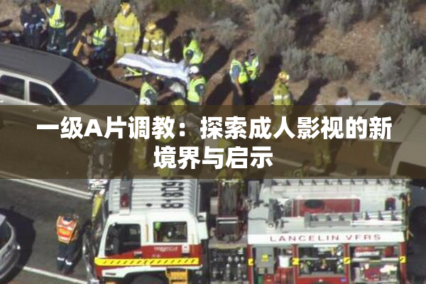一级A片调教：探索成人影视的新境界与启示