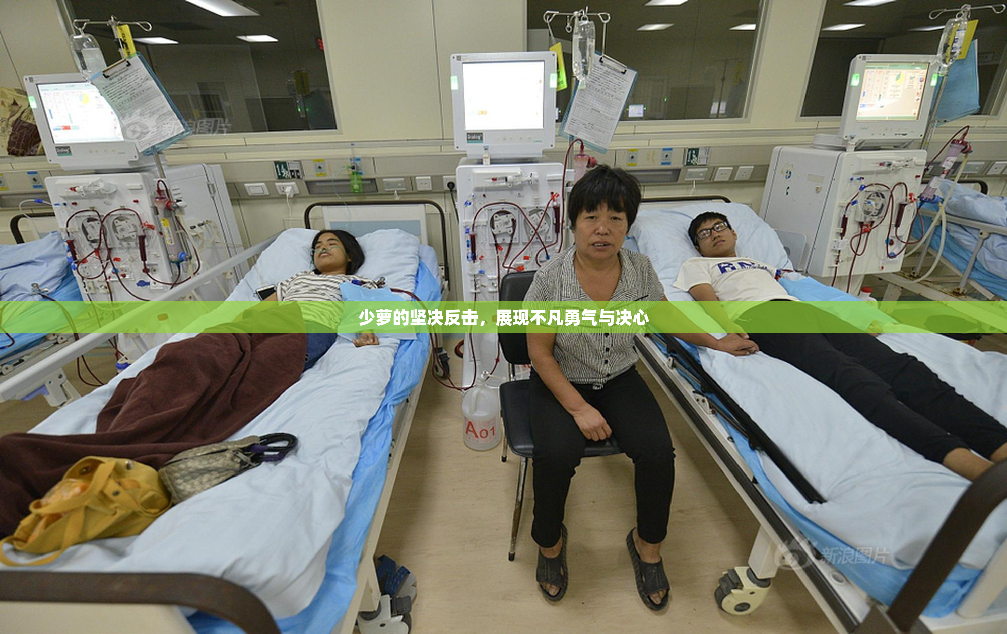 少萝的坚决反击，展现不凡勇气与决心