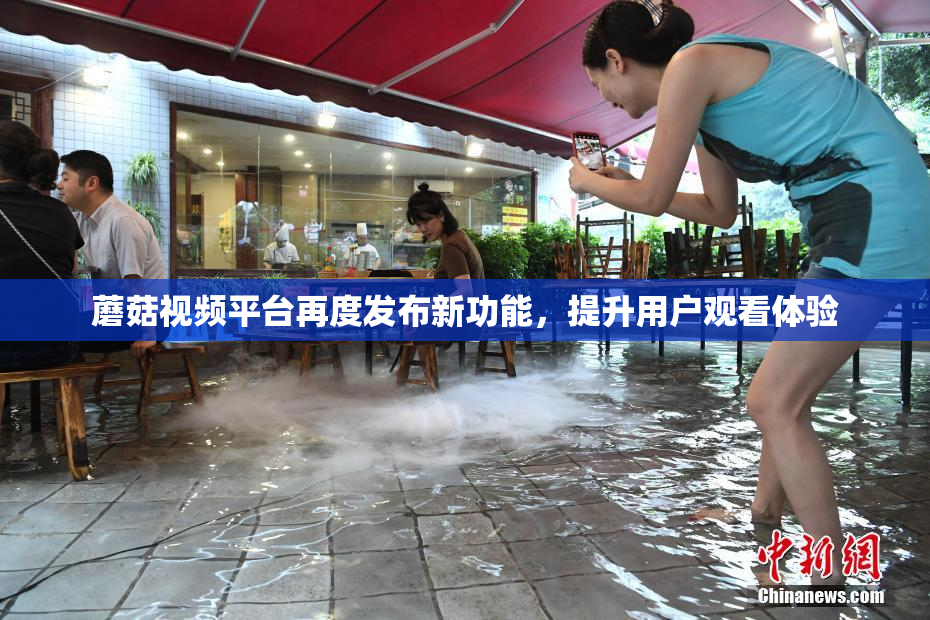 蘑菇视频平台再度发布新功能，提升用户观看体验