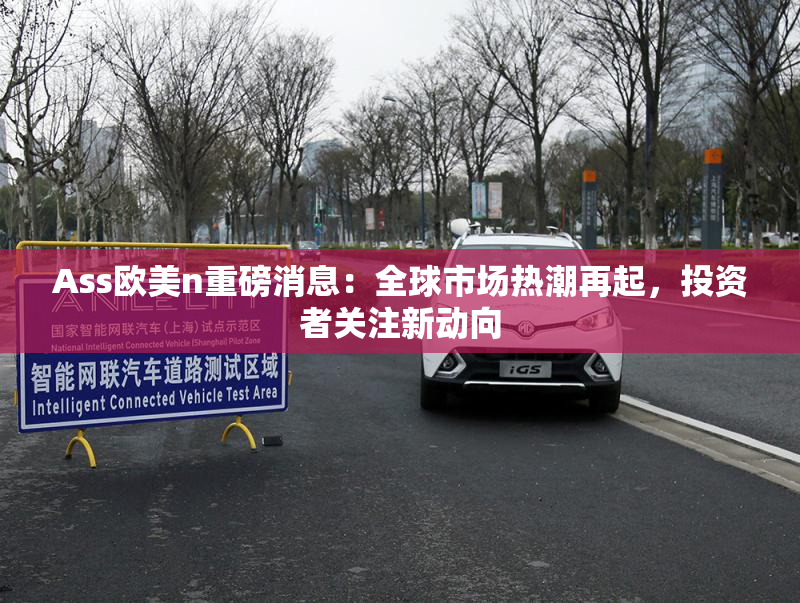 Ass欧美n重磅消息：全球市场热潮再起，投资者关注新动向