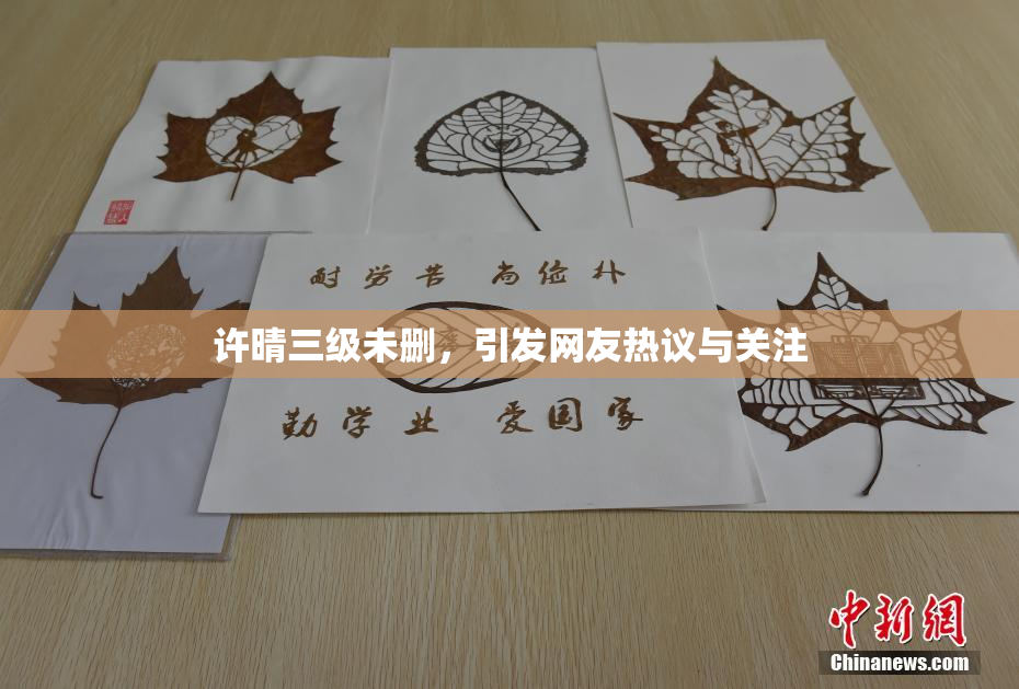 许晴三级未删，引发网友热议与关注