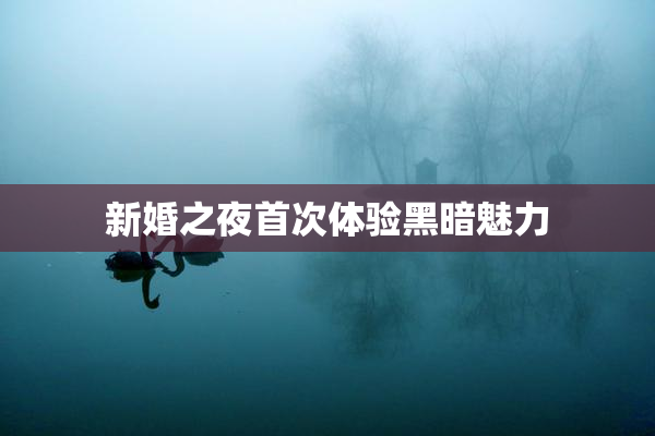 新婚之夜首次体验黑暗魅力