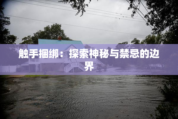 触手捆绑：探索神秘与禁忌的边界