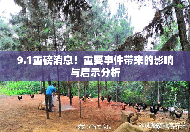 9.1重磅消息！重要事件带来的影响与启示分析