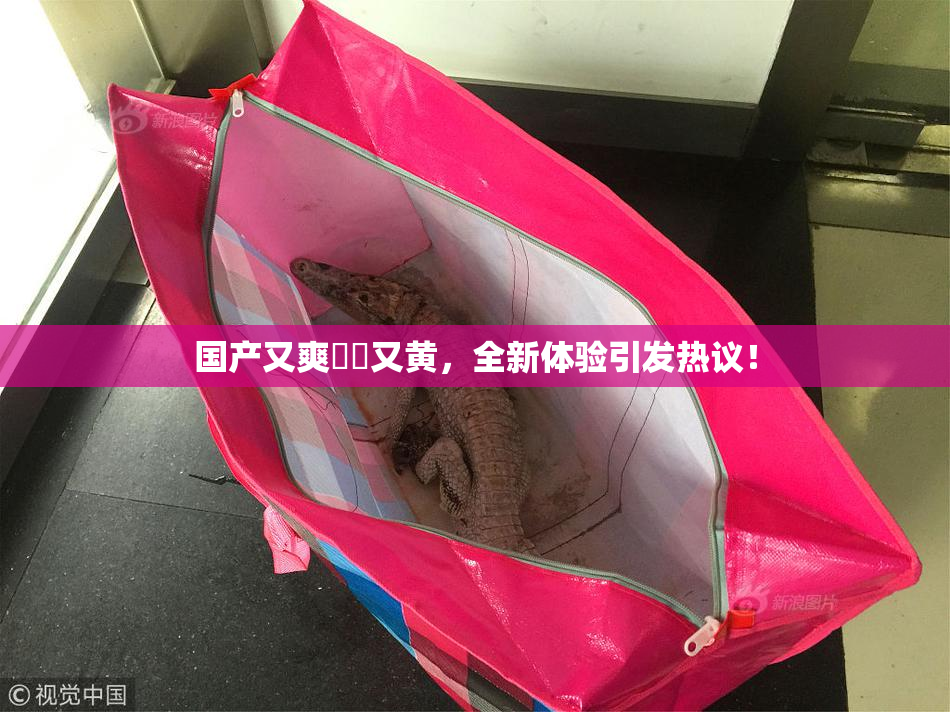 国产又爽❌‌又黄，全新体验引发热议！