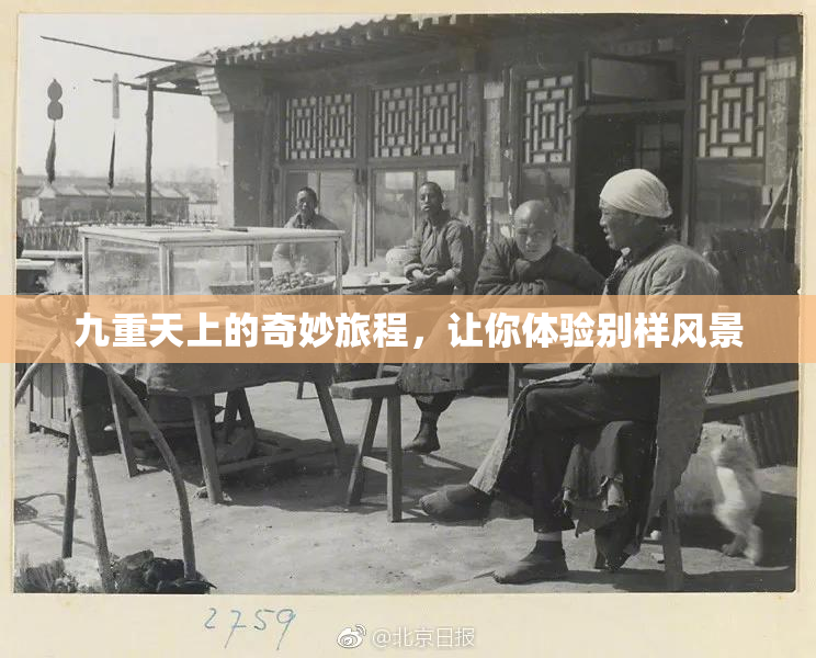 九重天上的奇妙旅程，让你体验别样风景