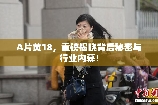 A片黄18，重磅揭晓背后秘密与行业内幕！