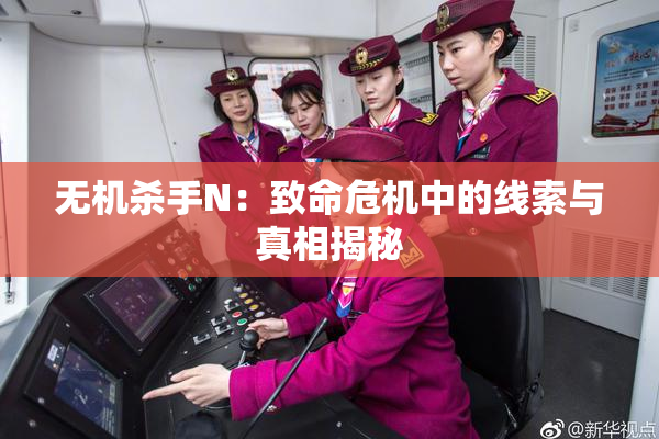 无机杀手N：致命危机中的线索与真相揭秘