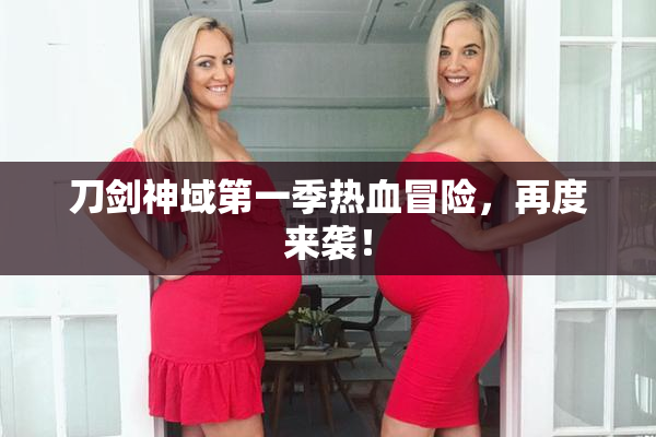 刀剑神域第一季热血冒险，再度来袭！