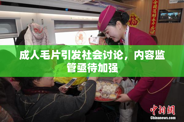 成人毛片引发社会讨论，内容监管亟待加强