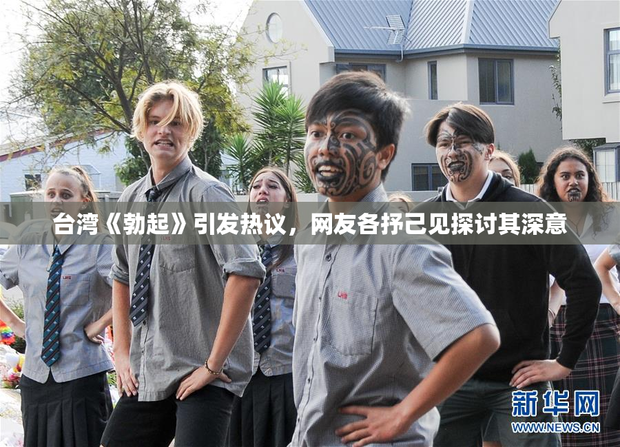 台湾《勃起》引发热议，网友各抒己见探讨其深意