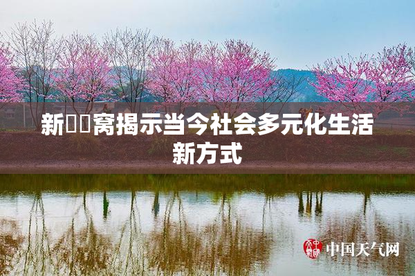 新妺妺窝揭示当今社会多元化生活新方式