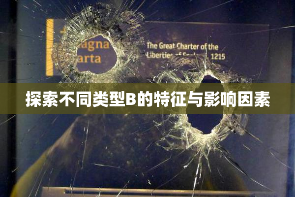 探索不同类型B的特征与影响因素