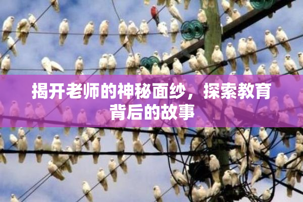 揭开老师的神秘面纱，探索教育背后的故事