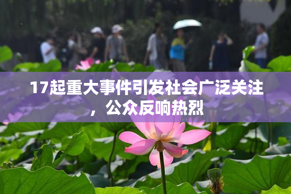 17起重大事件引发社会广泛关注，公众反响热烈
