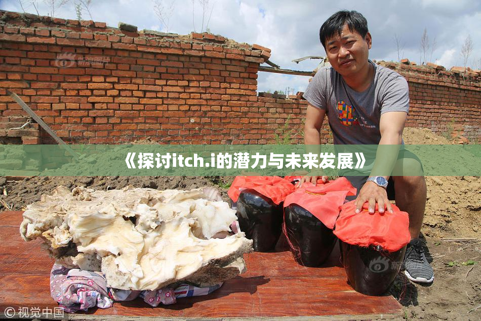 《探讨itch.i的潜力与未来发展》