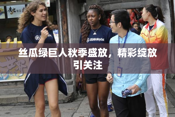 丝瓜绿巨人秋季盛放，精彩绽放引关注