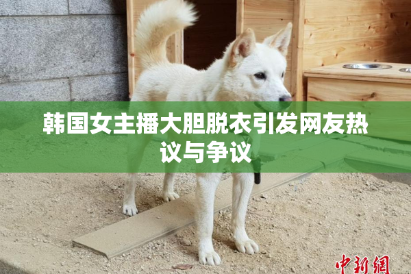 韩国女主播大胆脱衣引发网友热议与争议