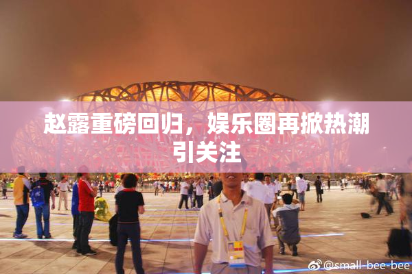 赵露重磅回归，娱乐圈再掀热潮引关注