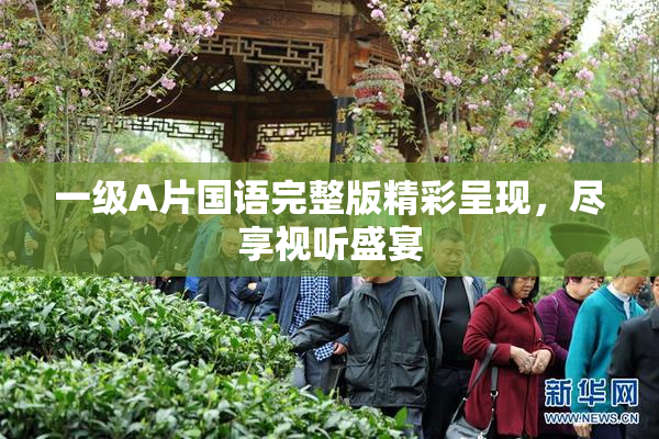 一级A片国语完整版精彩呈现，尽享视听盛宴