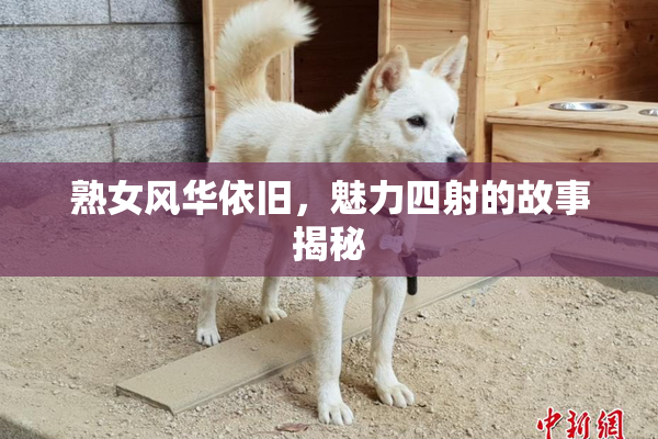 熟女风华依旧，魅力四射的故事揭秘