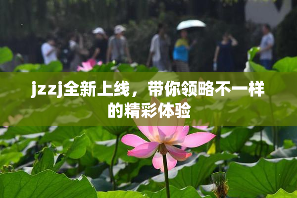 jzzj全新上线，带你领略不一样的精彩体验