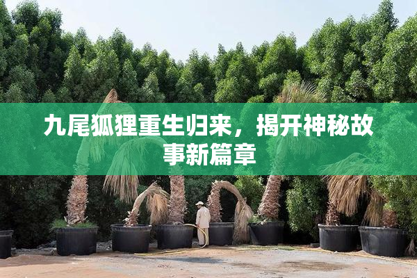 九尾狐狸重生归来，揭开神秘故事新篇章