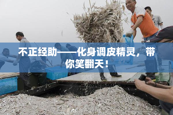 不正经助——化身调皮精灵，带你笑翻天！