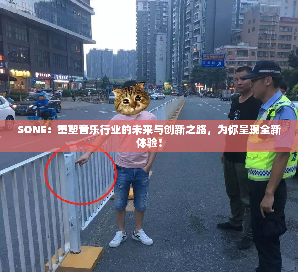 SONE：重塑音乐行业的未来与创新之路，为你呈现全新体验！