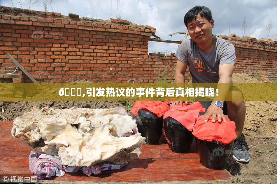 🈚,引发热议的事件背后真相揭晓！