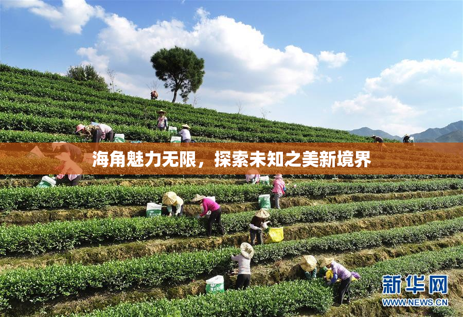 海角魅力无限，探索未知之美新境界
