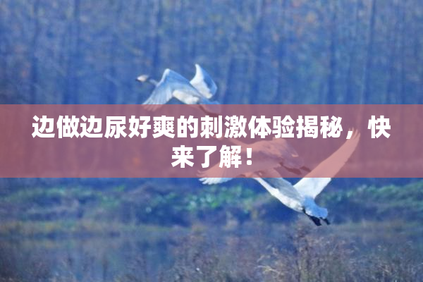 边做边尿好爽的刺激体验揭秘，快来了解！