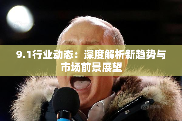 9.1行业动态：深度解析新趋势与市场前景展望