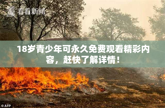 18岁青少年可永久免费观看精彩内容，赶快了解详情！
