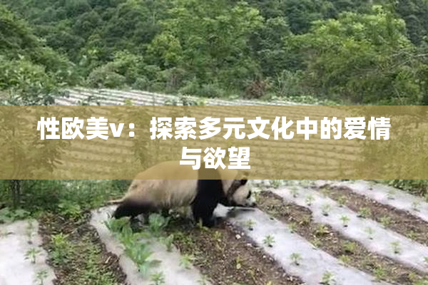 性欧美v：探索多元文化中的爱情与欲望