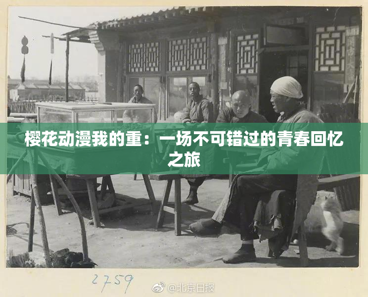 樱花动漫我的重：一场不可错过的青春回忆之旅