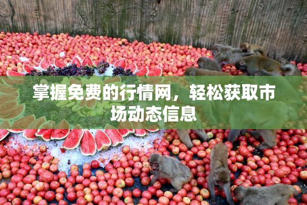 掌握免费的行情网，轻松获取市场动态信息