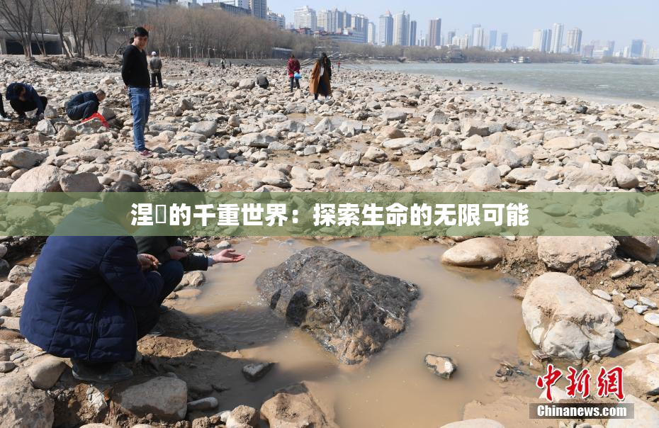 涅槃的千重世界：探索生命的无限可能