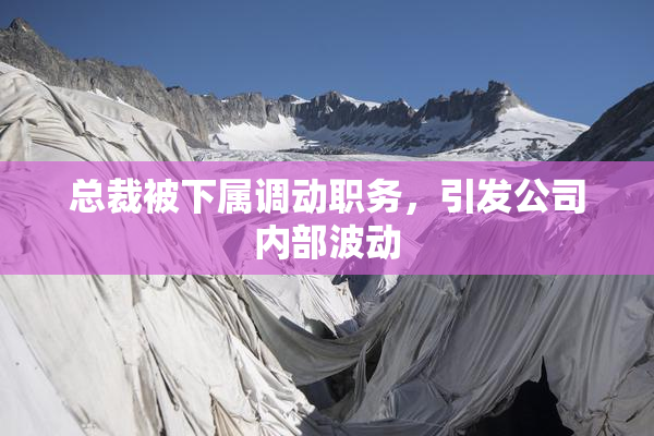 总裁被下属调动职务，引发公司内部波动