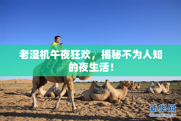 老湿机午夜狂欢，揭秘不为人知的夜生活！