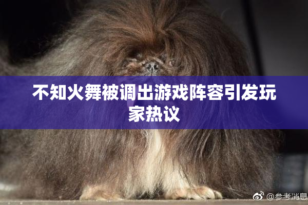 不知火舞被调出游戏阵容引发玩家热议